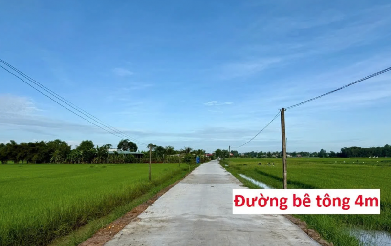 BÁN ĐẤT CHÍNH CHỦ KHÔNG QUA MÔI GIỚI, CẦN RA GẤP GIÁ TỐT